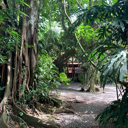 Brigitte'S Ranch Hotel Cahuita Ngoại thất bức ảnh