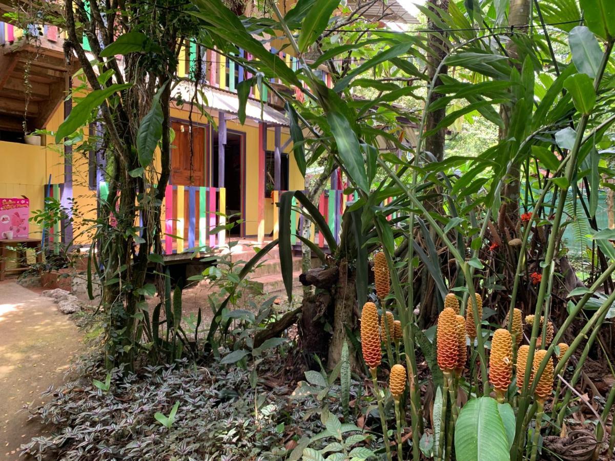 Brigitte'S Ranch Hotel Cahuita Ngoại thất bức ảnh