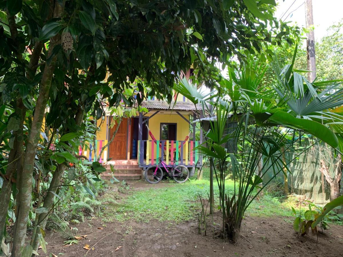 Brigitte'S Ranch Hotel Cahuita Ngoại thất bức ảnh
