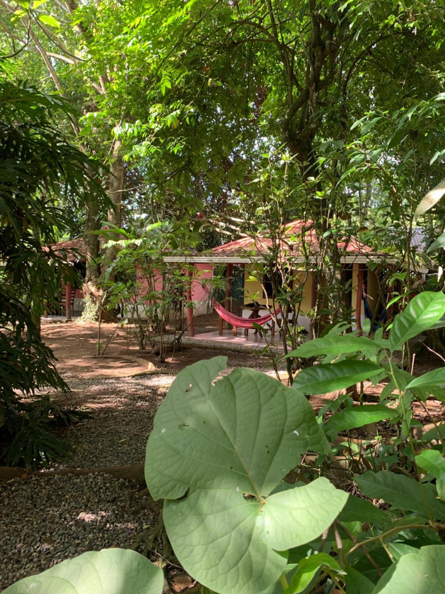 Brigitte'S Ranch Hotel Cahuita Ngoại thất bức ảnh