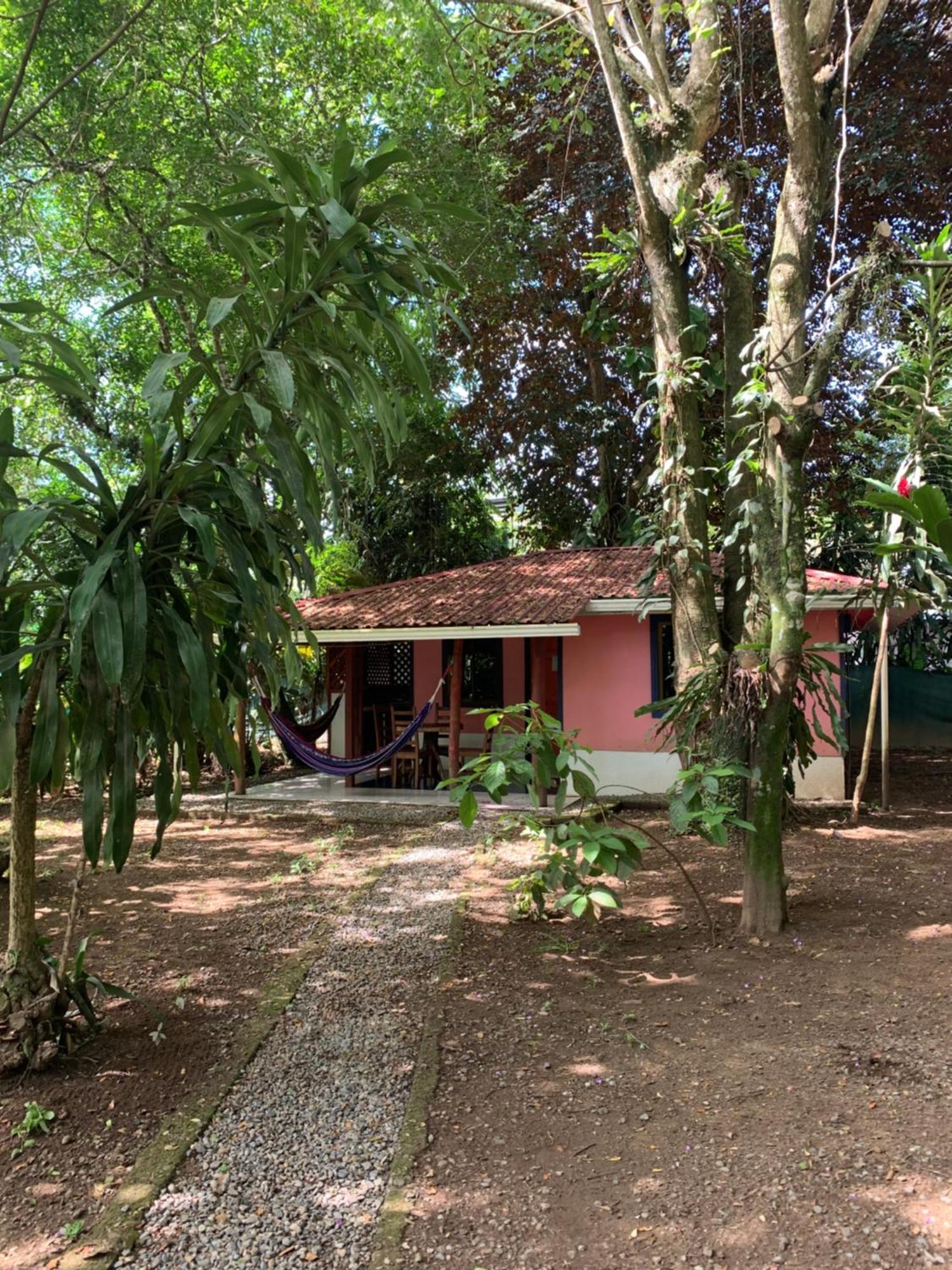 Brigitte'S Ranch Hotel Cahuita Ngoại thất bức ảnh