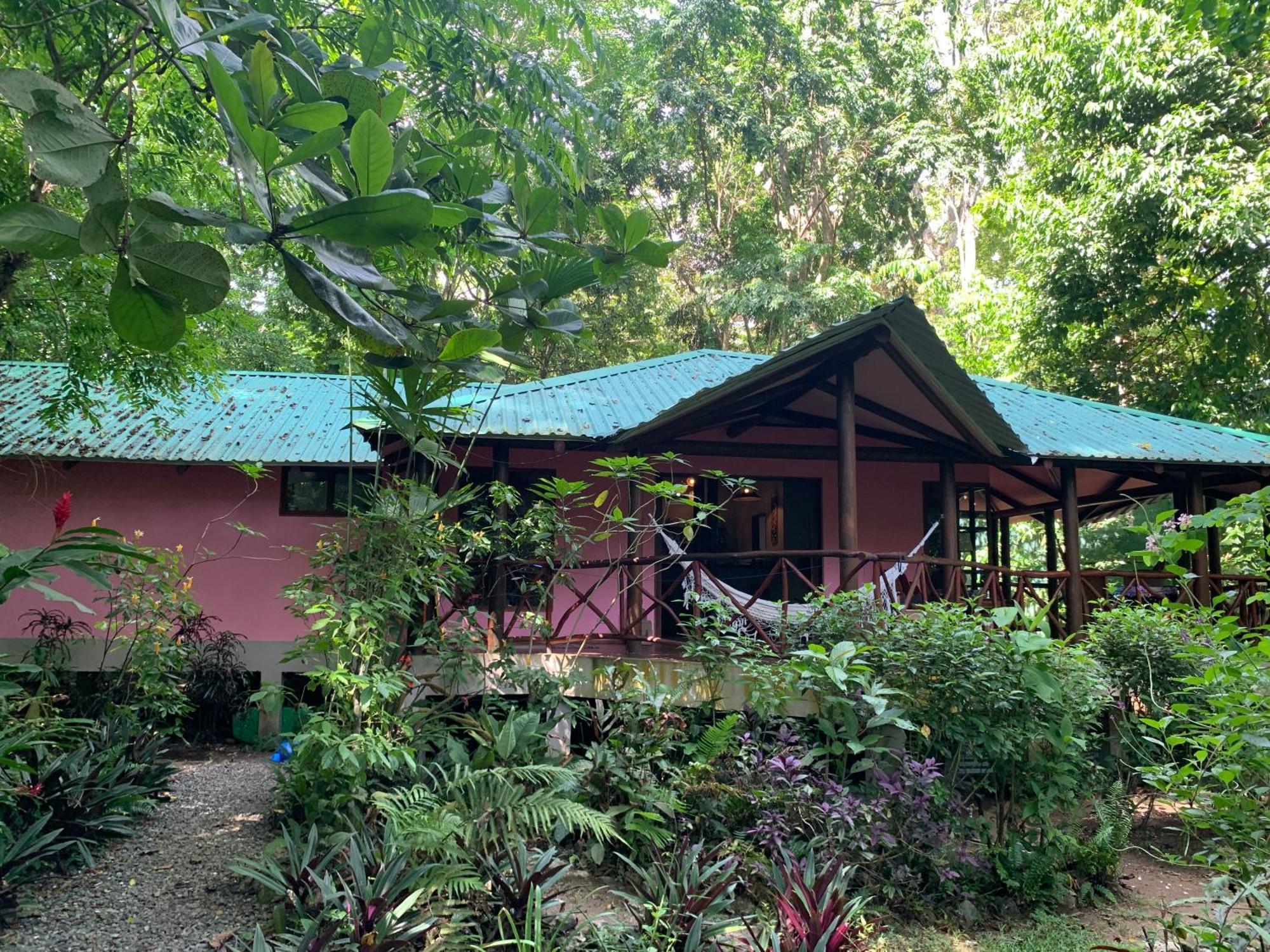 Brigitte'S Ranch Hotel Cahuita Ngoại thất bức ảnh