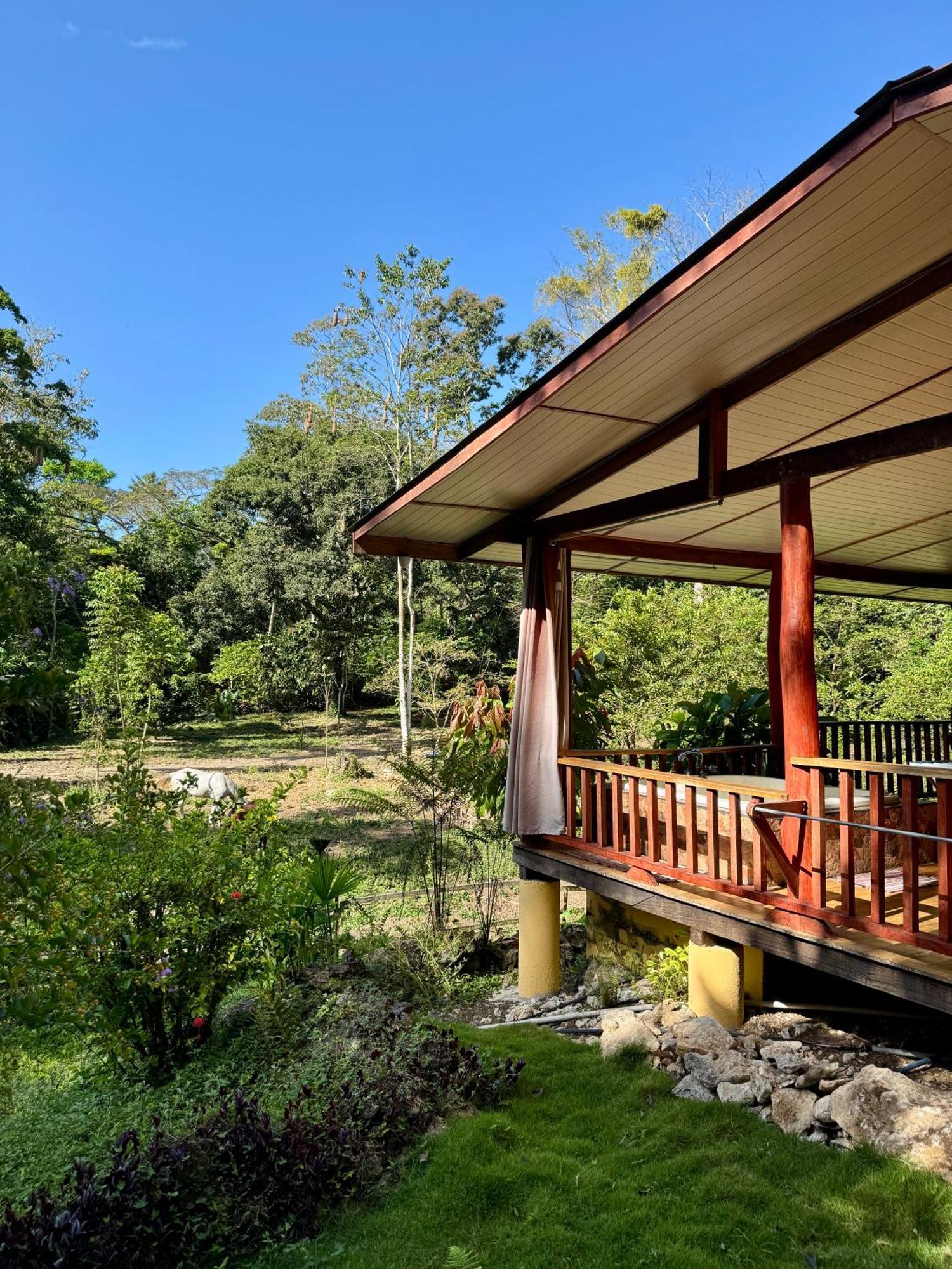Brigitte'S Ranch Hotel Cahuita Ngoại thất bức ảnh
