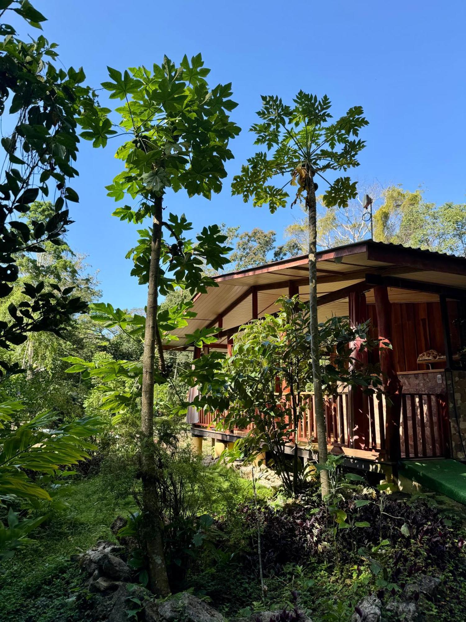 Brigitte'S Ranch Hotel Cahuita Ngoại thất bức ảnh