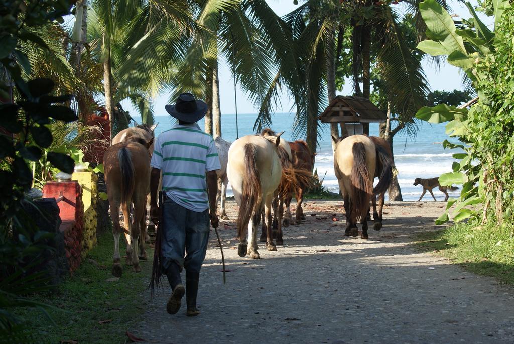 Brigitte'S Ranch Hotel Cahuita Phòng bức ảnh