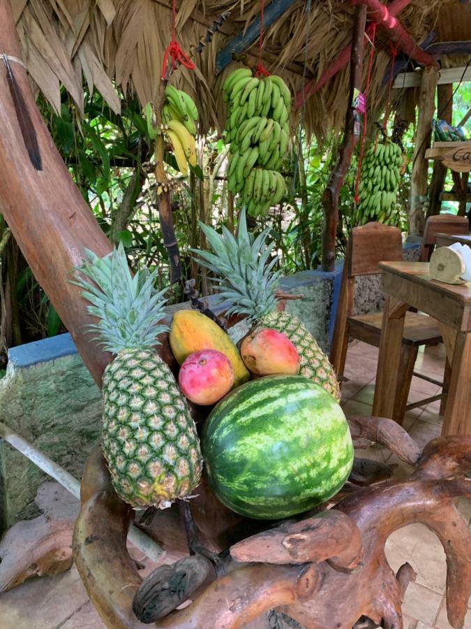 Brigitte'S Ranch Hotel Cahuita Ngoại thất bức ảnh